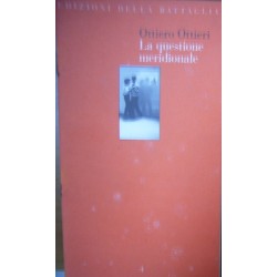 La questione meridionale - Ottiero Ottieri