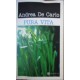Pura vita - Andrea De Carlo