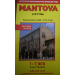 Mantova 1:7 000. Ediz. multilingue