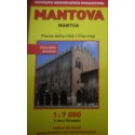 Mantova 1:7 000. Ediz. multilingue