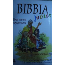 Bibbia junior. Una storia importante - a cura di V. Cottini, L. Perina, R. Zanoni