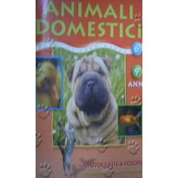 Animali domestici - Yves Verbeek