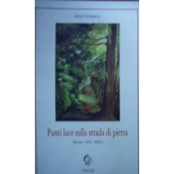 Punti luce sulla strada di pietra (Poesie 1965 - 2001) - Dino D'Erice (Dino Grammatico)