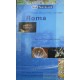 Roma. Pianta della città 1:13.000