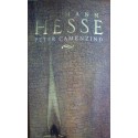 Peter Camenzind - Hermann Hesse