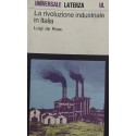 La rivoluzione industriale in Italia - Luigi De Rosa