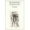 Amado mio - Pier Paolo Pasolini