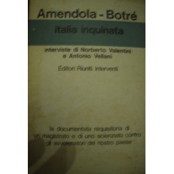 Italia inquinata - G. Amendola / C. Botré