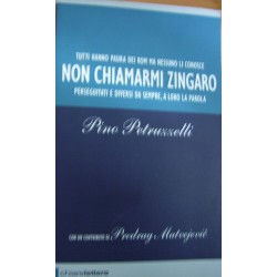 Non chiamarmi zingaro - Pino Petruzzelli
