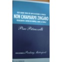 Non chiamarmi zingaro - Pino Petruzzelli