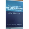Non chiamarmi zingaro - Pino Petruzzelli